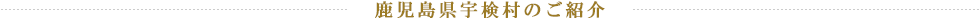 鹿児島県宇検村のご紹介