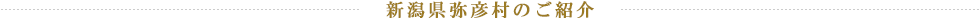 新潟県弥彦村のご紹介
